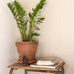 Nature & Sun, Natural Lifestyle - Hossegor Soorts-Hossegor