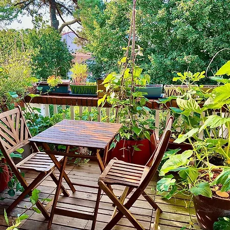 Nature & Sun, Natural Lifestyle - Hossegor Apartment *